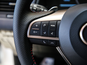 2017300 Mark Levinson F SPORT V п؅^