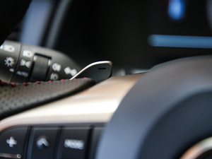 2017300 Mark Levinson F SPORT V п؅^