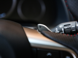 2017300 Mark Levinson F SPORT V п؅^