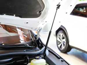 2017300 Mark Levinson (q)F SPORT V 