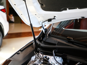 2017300 Mark Levinson (q)F SPORT V 