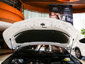 2017300 Mark Levinson (q)F SPORT V 