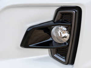 2019 Special Edition ^