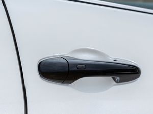 2019 Special Edition ^