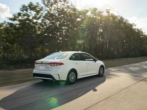 2019Sedan Hybrid 