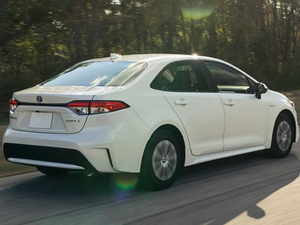 2019Sedan Hybrid 