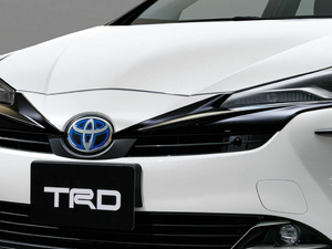 2019TRD ϸ