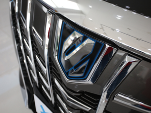 20202.5L pA (x)(ji)^