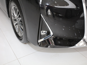 20202.5L pA (x)(ji)^