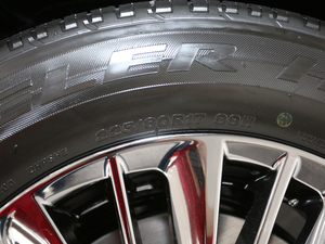 20202.5L pA (x)(ji)^