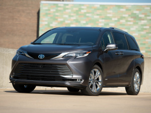 20212.5L Platinum 7  w^