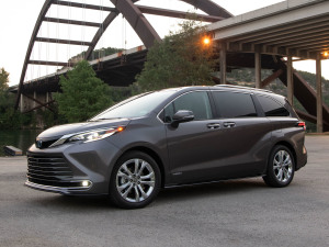 20212.5L Platinum 7  w^