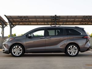 20212.5L Platinum 7  w^