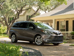 20212.5L Platinum 7  w^