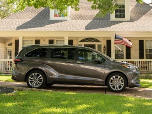 20212.5L Platinum 7  w^