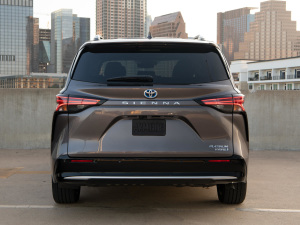 20212.5L Platinum 7  w^