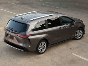 20212.5L Platinum 7  w^