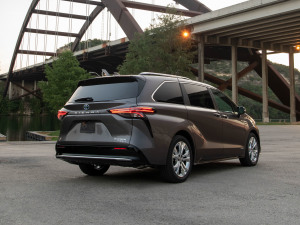 20212.5L Platinum 7  w^