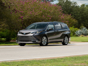 20212.5L(dng) (q)Platinum 7  w^