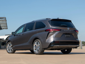 20212.5L Platinum 7  w^