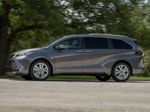 20212.5L(dng) (q)Platinum 7  w^