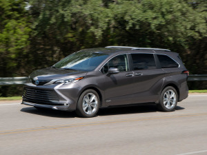 20212.5L(dng) (q)Platinum 7  w^