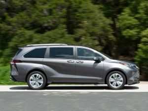 20212.5L(dng) (q)Platinum 7  w^