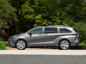 20212.5L(dng) (q)Platinum 7  w^