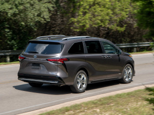 20212.5L(dng) (q)Platinum 7  w^