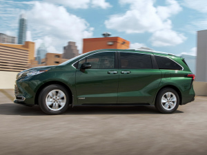 20212.5L Limited 7  w^