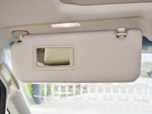 2021ʹ p 2.5L HV ꖰ壨