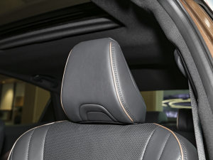 2023SportCross 2.5L HEVF g