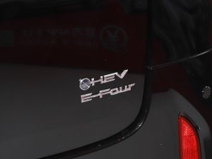 2024p 2.5L   (x)(ji)^