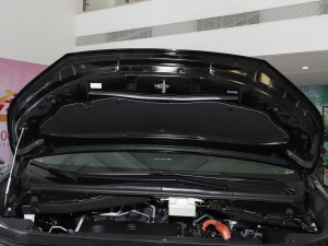 2024款双擎 2.5L 臻享版  其它