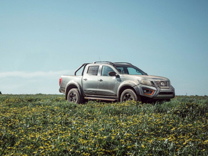 2020N-Trek Warrior w^