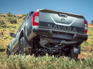 2020N-Trek Warrior w^