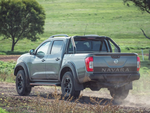 2020N-Trek Warrior w^