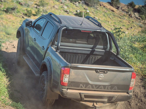 2020N-Trek Warrior w^