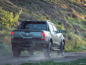 2020N-Trek Warrior w^