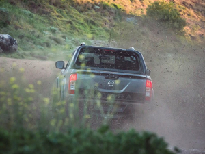 2020N-Trek Warrior w^