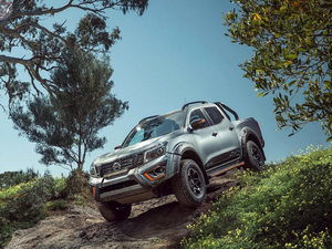 2020N-Trek Warrior w^