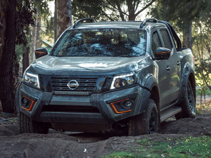 2020N-Trek Warrior w^