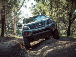 2020N-Trek Warrior w^