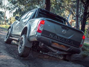 2020N-Trek Warrior w^