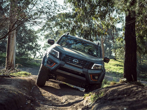 2020N-Trek Warrior w^