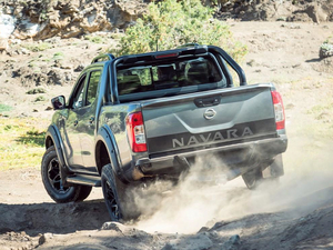 2020N-Trek Warrior w^