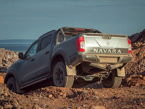 2020N-Trek Warrior w^