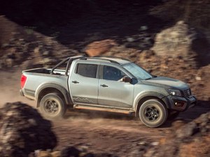 2020N-Trek Warrior w^