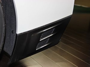 2014款3.8T Premium Edition 棕红内饰 细节外观