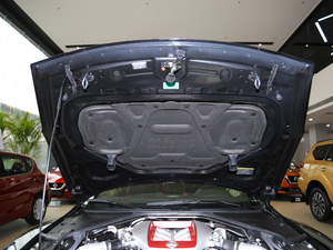 2017款3.8T 黑金刚版 其它